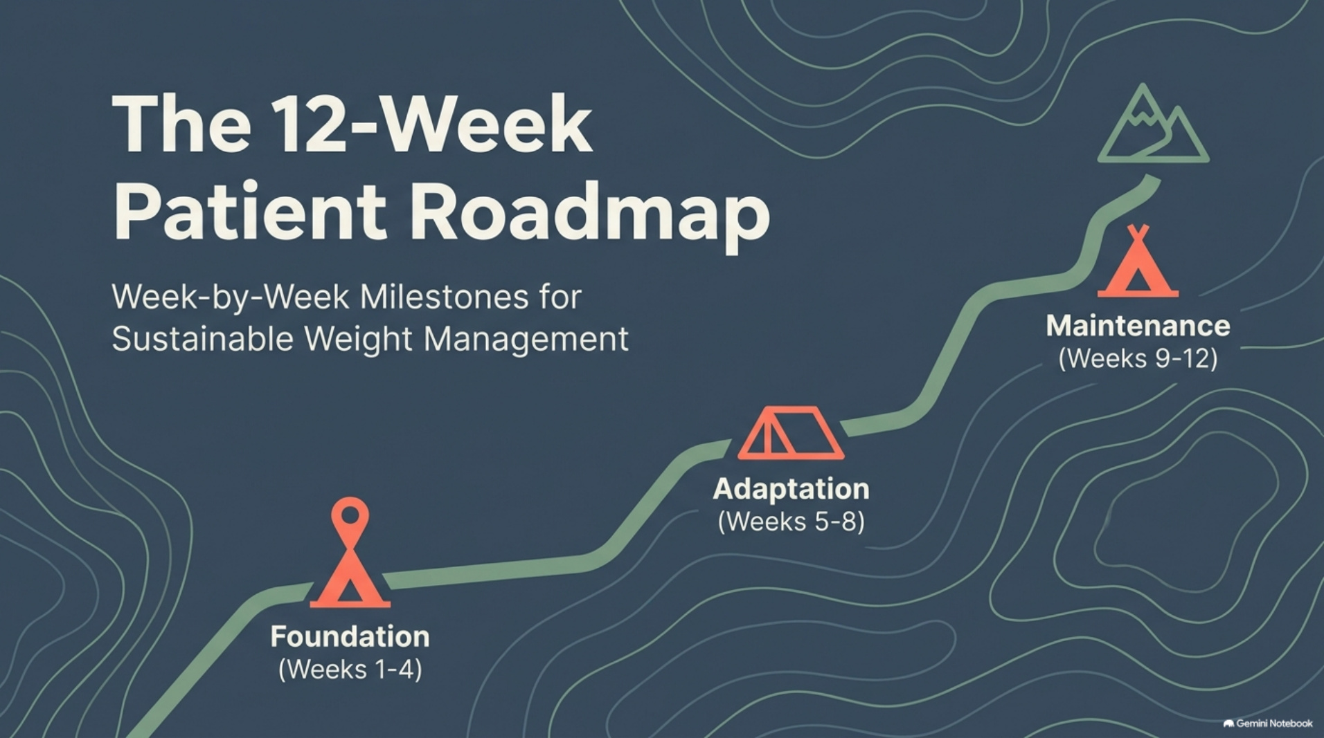The 12-week roadmap overview